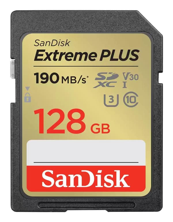 MINNE SDXC 128GB UHS-1/SDSDXWA-128G-GNCIN SANDISK