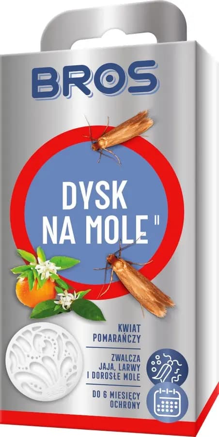 Kova koiveljille kukka oranssi