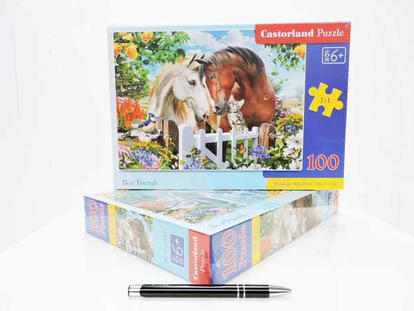 Palapelit 100 Parhaat ystävät CASTOR