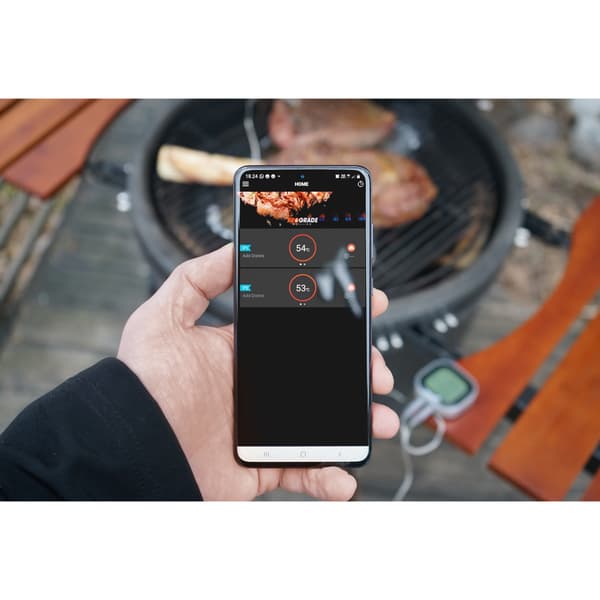 Mustang Digital thermometer