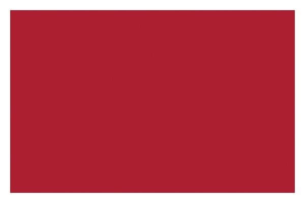 Liquitex Sprayfärg 400ml Cad Red Deep Hue 0311