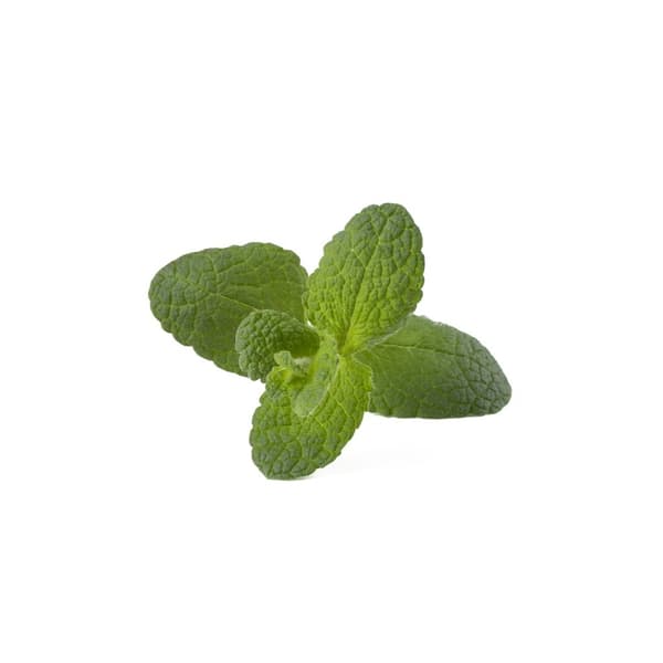 Click & Grow Smart Garden Refill 3-pakning - Apple Mint (SGR79X3)
