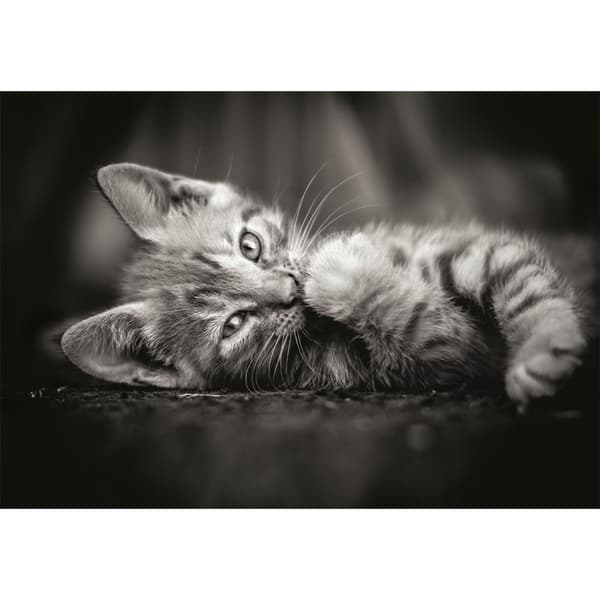 Clementoni Pussel 1000 Pcs CB High Quality Collection Kitty