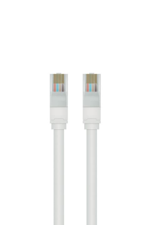 QNECT UTP-patchkabel CAT 5e, 1 m, hvid