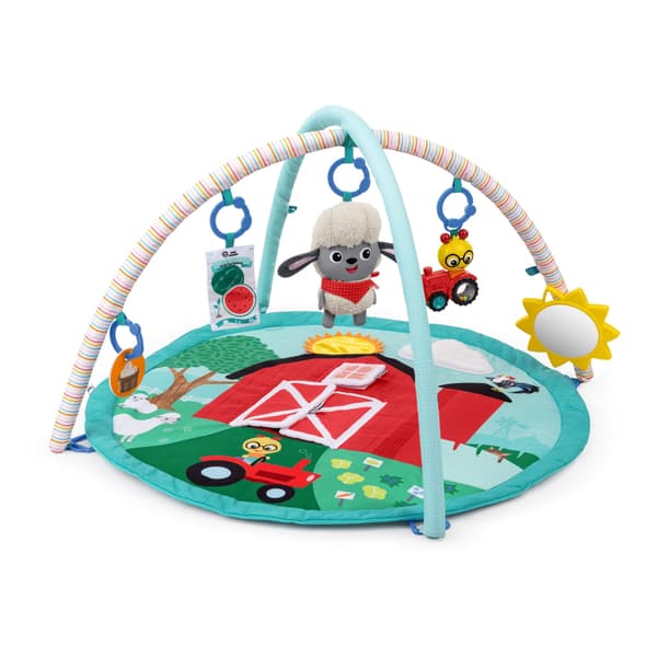Baby Einstein Touch &amp; Feel Activity Gym (BE-17326)