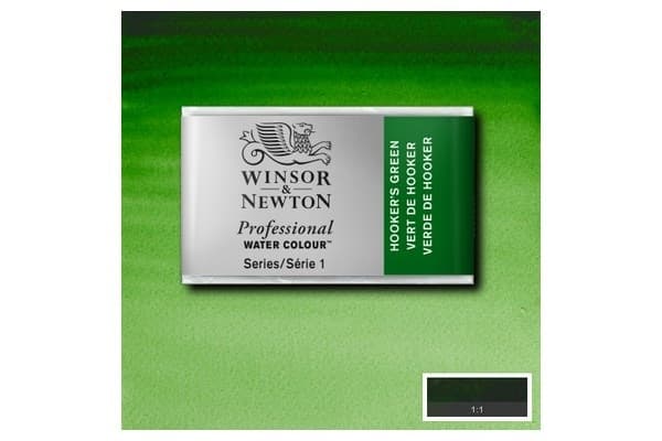 Prof Water Colour Pan/W Hookers Green 311