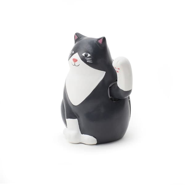 Kikkerland Solkatt