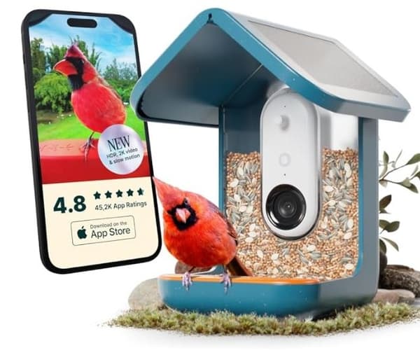 Birdbuddy Smart Bird Feeder 2.0 Blue med solcellepanel