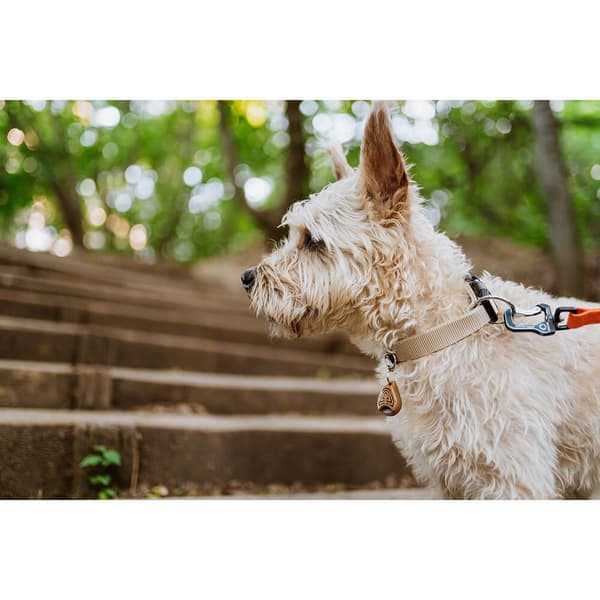 TICKLESS Tick Repellent  ECOPET