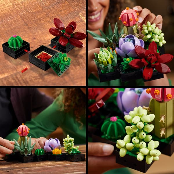 Lego Botanisk 10309 - Sukkulenter