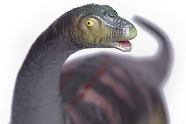 Brachiosaurus - Lekedinosaur