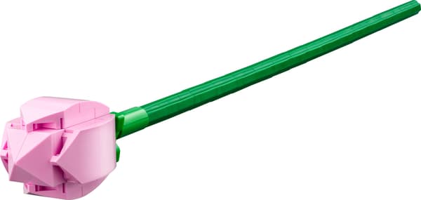 LEGO Botanical 40647  - Lootuskukat