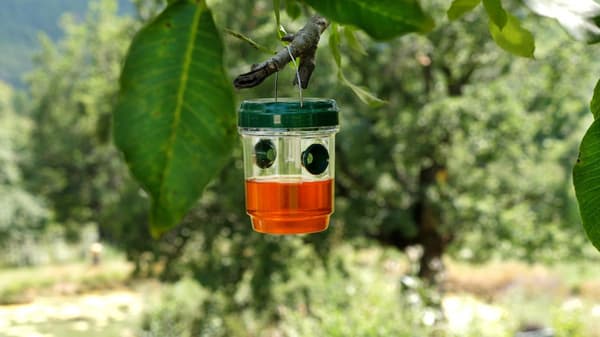 Genius Ideas Solcellsdriven insektsfälla