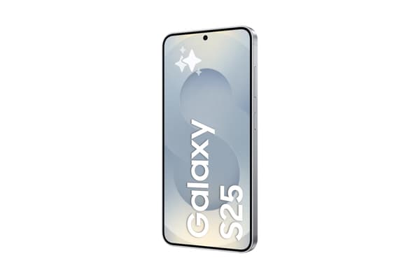 Samsung Galaxy S25 128 GB - Silver Shadow Samsung