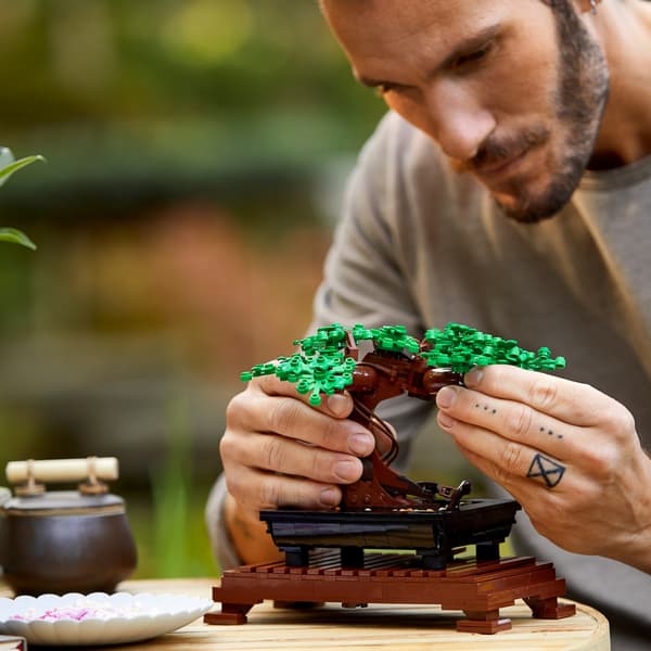LEGO Botanical 10281 - Bonsai Tree
