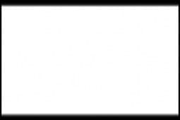Akrylbaserad färg Matt White (Flat) 22ml