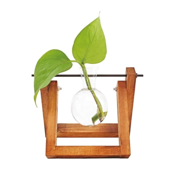 Winkee Hydro Vaser Blomstervase