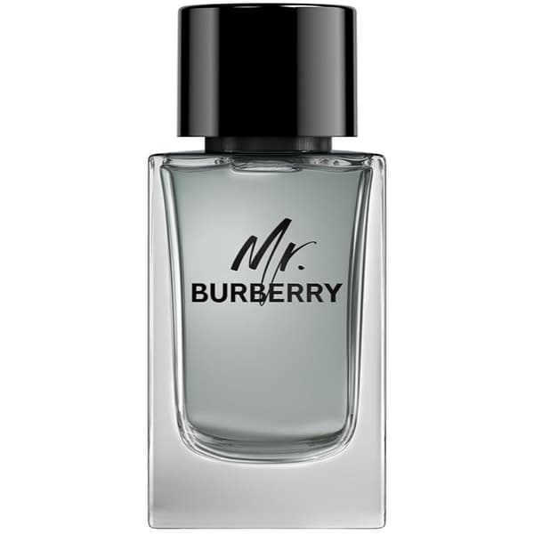 Burberry Burberry Mr Edt 100ml