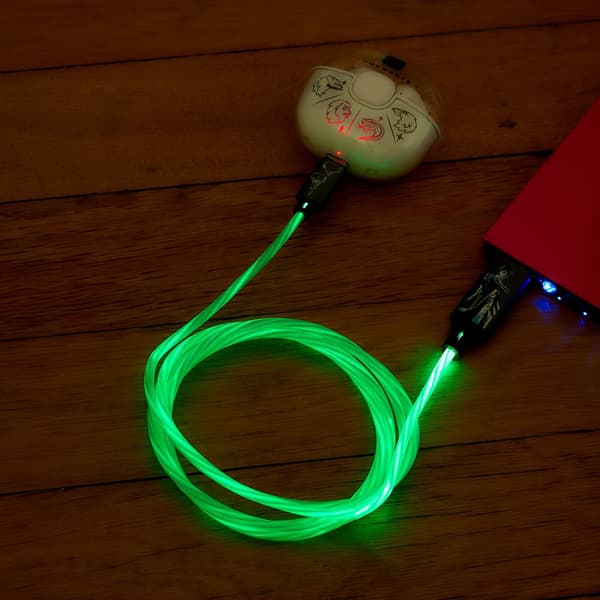HARRY POTTER USB A to C Light-Up 1.2m