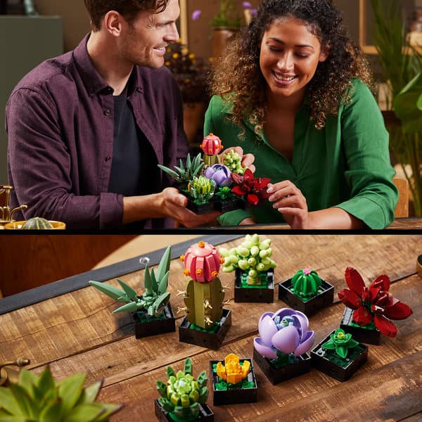 Lego Botanisk 10309 - Sukkulenter
