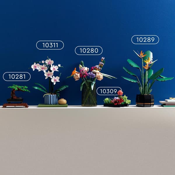 Lego Botanisk 10309 - Sukkulenter
