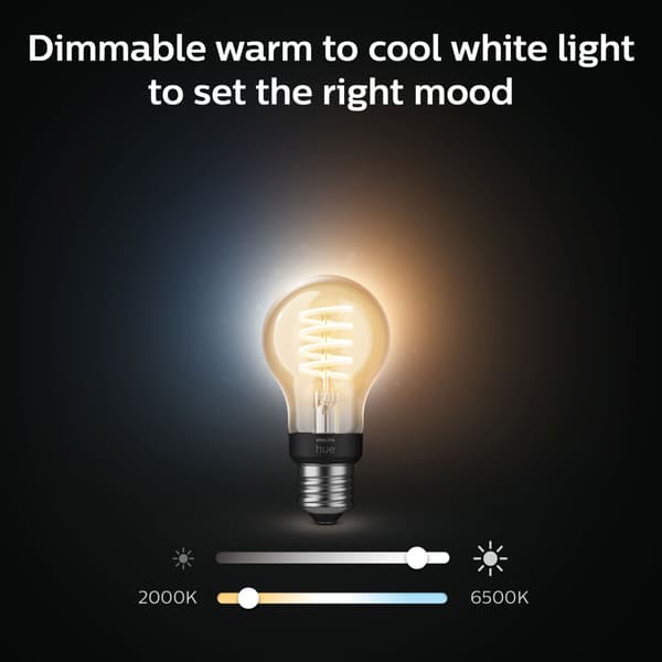 Philips Hue White Ambiance Filament E27 A60 40W