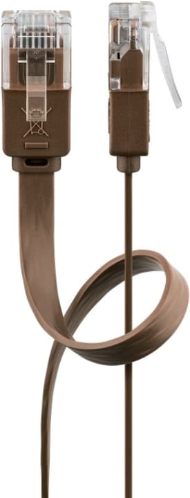 Goobay CAT 6 platt patchkabel, U/UTP, mörkbrun kopparledare (CU), 1 m