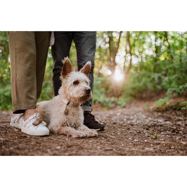TICKLESS Fästingskydd ECOPET