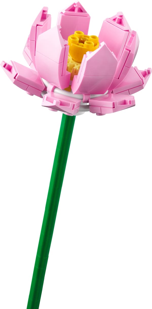 LEGO Botanical 40647  - Lotusblommor