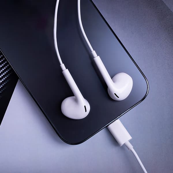 Maxlife wired earphones MXEP-04 USB-C white