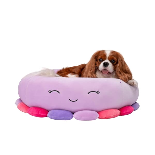 Squishmallows Seng til kæledyr - Blæksprutte 61 cm (JPT0085-M)
