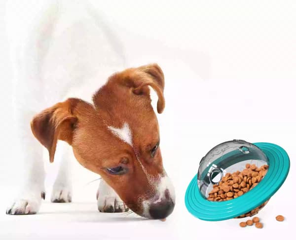 Hunde- og kattefôrdispenser