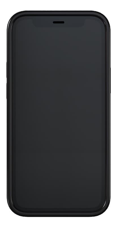 Richmond & Finch Black Marble iPhone 12 mini