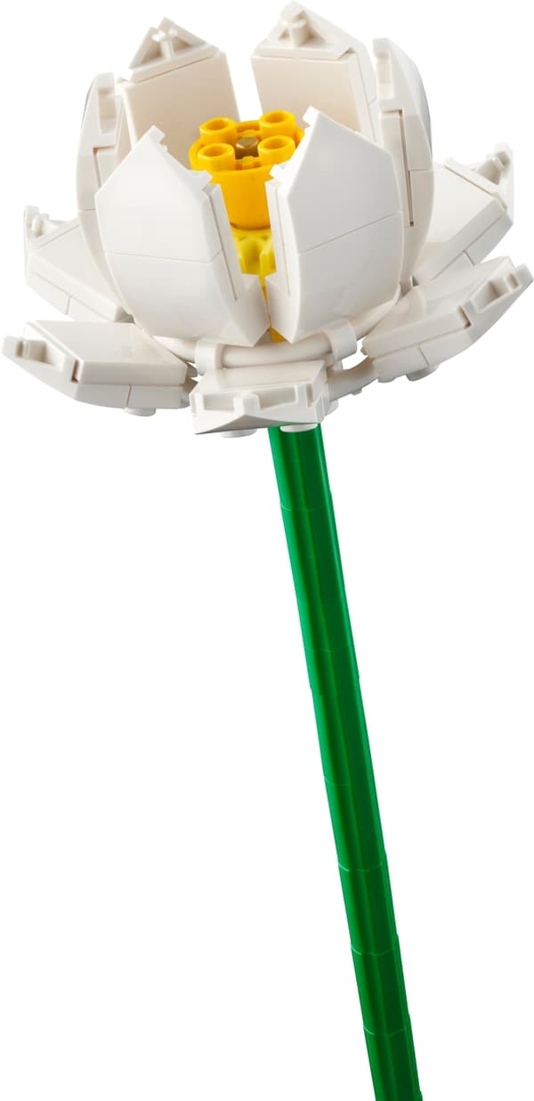 Lego Botanisk 40647 - Lotusblomster