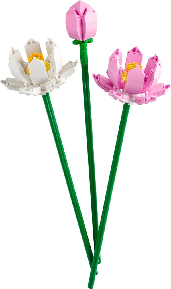 LEGO Botanical 40647  - Lootuskukat