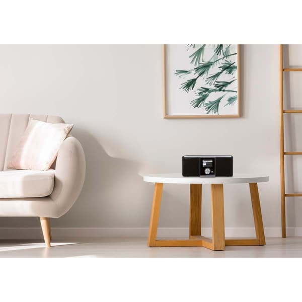 TELESTAR DIRA S 20 C Kabel (DVB-C) og Internett-stereoradio