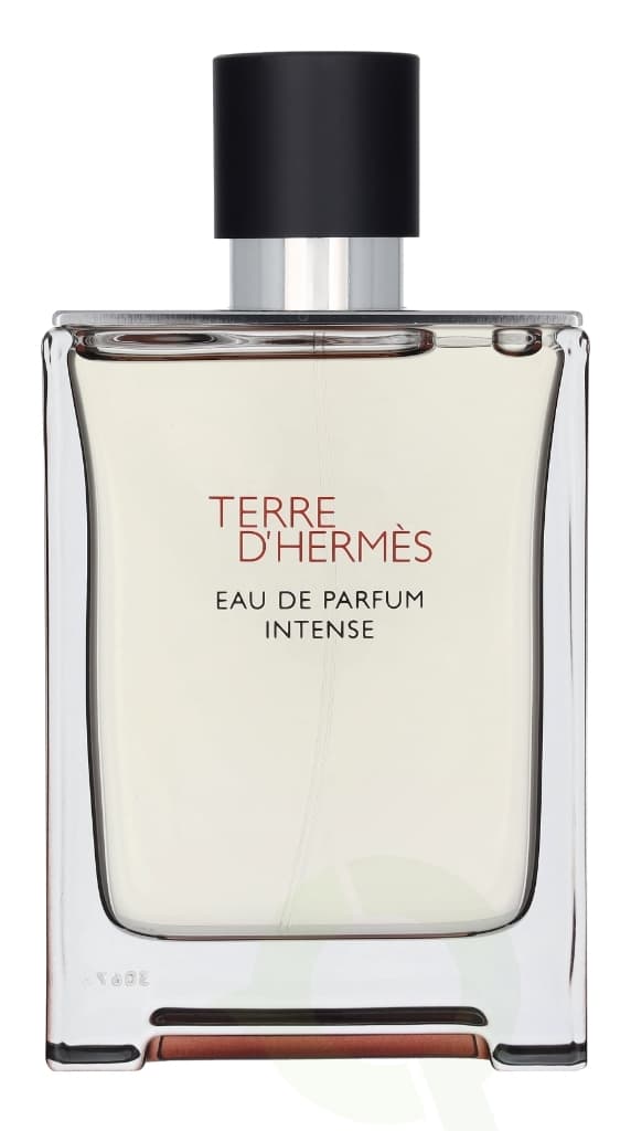 Hermes Terre D'Hermes Eau Intense Parfum Spray 100 ml