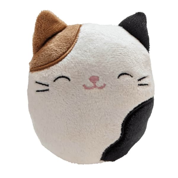 Squishmallows Kaiutin Cam Langaton Plush Cameron