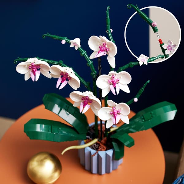 LEGO Botanical 10311 - Orkidea