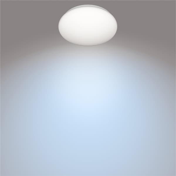 Philips CL200 Plafond 225mm 6W 600 270