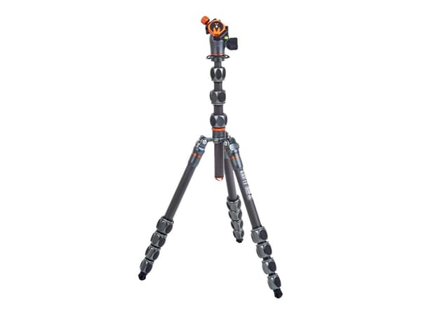 3 Legged Thing Pro 2.0 Albert & AirHed Pro Grey