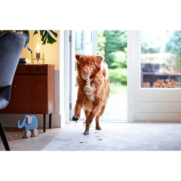 Spotclean Pet Pro