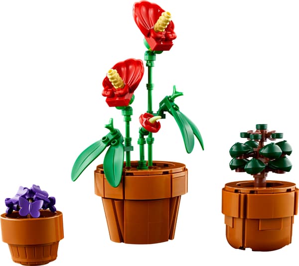 LEGO Botanical 10329 - Minikasvit