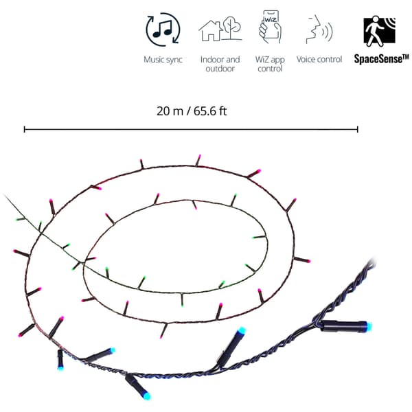 WiZ WiFi Smart LED Fairy Light Light String