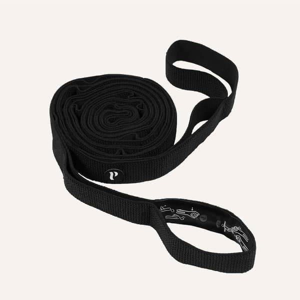 SWEDISH POSTURE MiniGym Träningskit