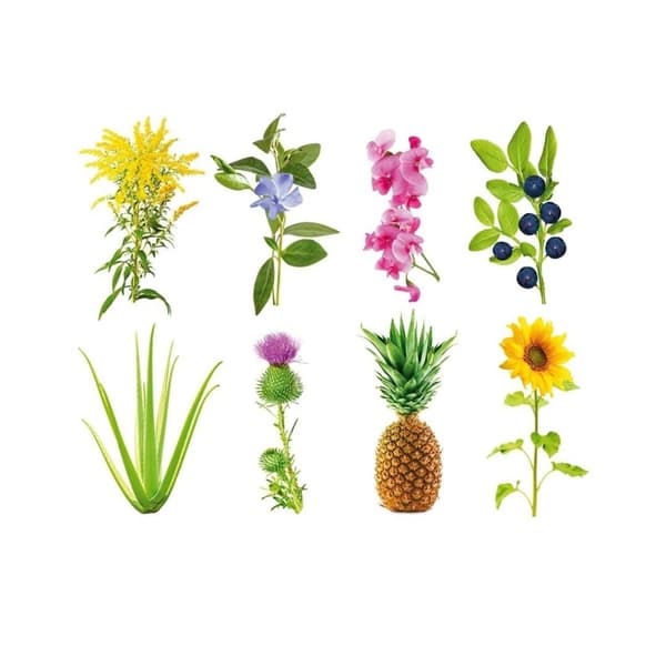 Click & Grow Smart Garden Refill 3-pak - Eksperimentel (SGR0X3)