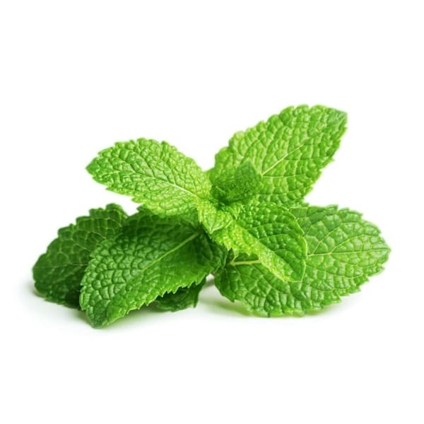 Click & Grow - Smart Garden Refill 3-pack - Pepparmint (SGR22X3)