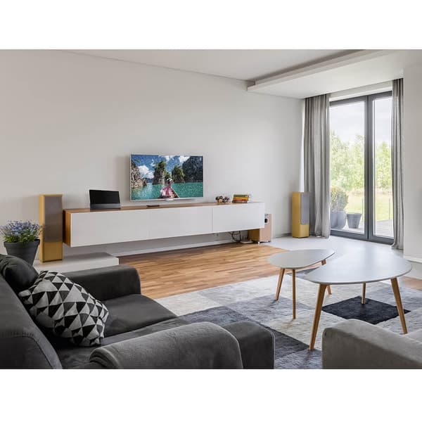 Hama Indendørs Antenne Pro 55 DAB+/DAB/DVB-T2/FM Flad Sort