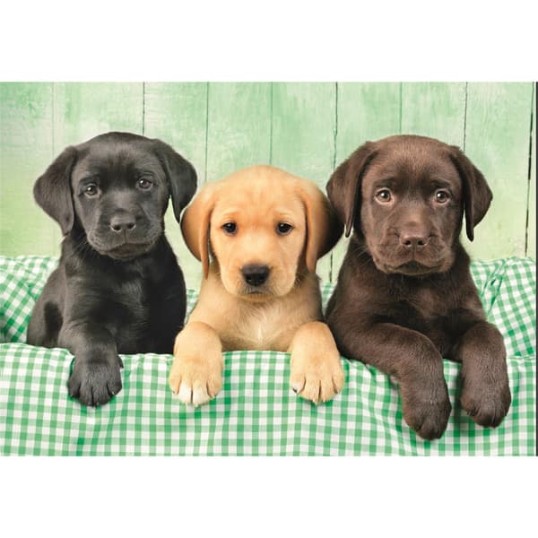Clementoni Puslespil 1000 Pcs CB High Quality Collection Three Labs