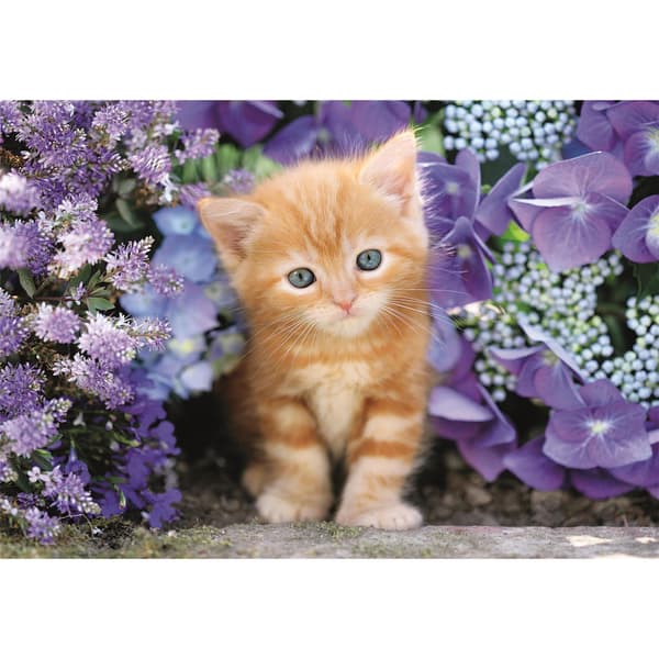 Clementoni Palapeli 500 Pcs CB High Quality Collection Ginger Cat